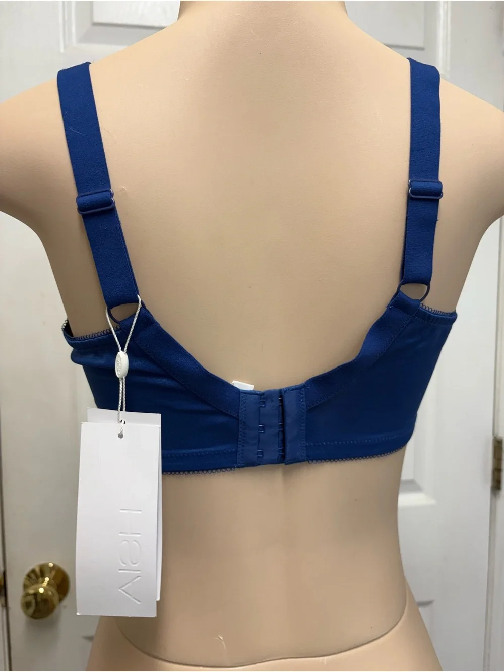 NWT HSIA 34DDD 75F Blue Floral Lace Underwire Bra Unlined Sheer Lingerie